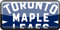 Toronto Maple Leafs vs Vancouver Canucks 3149259292